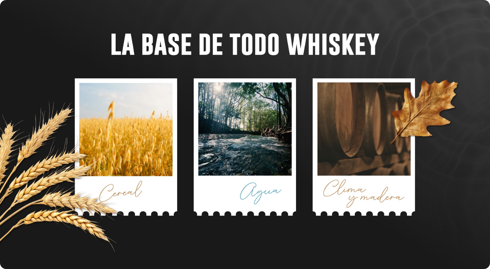 Instalación de Whiskies del mundo